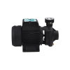 Насос поверхностный поливочный Pumpman 2DK20 Нmax 17 м Qmax 27 куб.м 2"х2" 1500 Вт Купить Насос поверхностный поливочный Pumpman 2DK20 Нmax 17 м Qmax 27 куб.м 2"х2" 1500 Вт в Киеве vannaja.kiev.ua