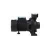Насос поверхностный поливочный Pumpman TGA1C Нmax 15 м Qmax 30 куб.м 2"х2" 750 Вт Купить Насос поверхностный поливочный Pumpman TGA1C Нmax 15 м Qmax 30 куб.м 2"х2" 750 Вт в Киеве vannaja.kiev.ua
