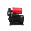 Насосная станция Pumpman TGPB125C Нmax 35 м Qmax 2,4 куб.м 370 Вт бак 2 л Купить Насосная станция Pumpman TGPB125C Нmax 35 м Qmax 2,4 куб.м 370 Вт бак 2 л в Киеве vannaja.kiev.ua