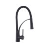 Купити кран на кухню з душем Змішувач для кухні Kroner KRP Ersel - SCH03393BLK CV033799 в Києві vannaja.kiev.ua