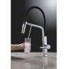Купити Devit 91226 Acqua Змішувач для кухні з подачою фільтрованої води хром гнучким виливом та 2 режимами лійки в Києві vannaja.kiev.ua
