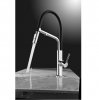 Купити Devit 91226 Acqua Змішувач для кухні з подачою фільтрованої води хром гнучким виливом та 2 режимами лійки в Києві vannaja.kiev.ua