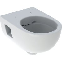 унитаз для инсталляции geberit 501.751.00.1 подвесной Selnova Rimfree с сиденьем крышкой SoftClose, QuickFix 53см Белый 501751001 