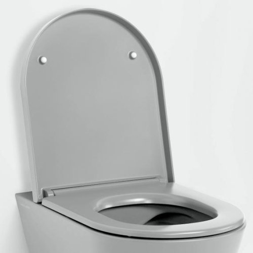 Купить Сидение с крышкой для унитаза с медленным закрытием Laufen Kartell H8913337590001, серый матовый в Киеве vannaja.kiev.ua