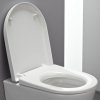 Унитазное сидение LAUFEN PRO H8919503000031 с системой быстрого съема, белое Купить Унитазное сидение LAUFEN PRO H8919503000031 с системой быстрого съема, белое в Киеве vannaja.kiev.ua