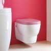 Купить LAUFEN 2055.0 MIMO 8.2055.0.000.000.1 Унитаз подвесной 20550 000 000 Швейцария 50 см в Киеве vannaja.kiev.ua