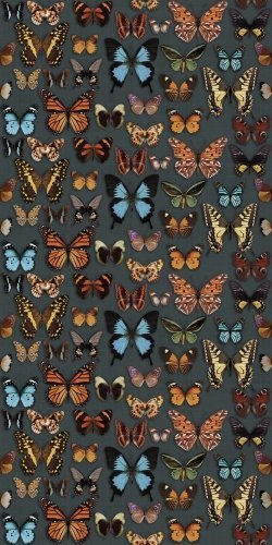 Плитка Abk Wide & Style Papillon Digit + 120 * 240 (0003715) Купити Плитка Abk Wide & Style Papillon Digit + 120 * 240 (0003715) в Києві vannaja.kiev.ua