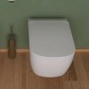 Унітаз підвісний з кришкою Flaminia PLAY 52x36x25.5 cм із системою Gosilent, білий глянсовий (PY118S/PYCW05) Купити Унітаз підвісний з кришкою Flaminia PLAY 52x36x25.5 cм із системою Gosilent, білий глянсовий (PY118S/PYCW05) в Києві vannaja.kiev.ua