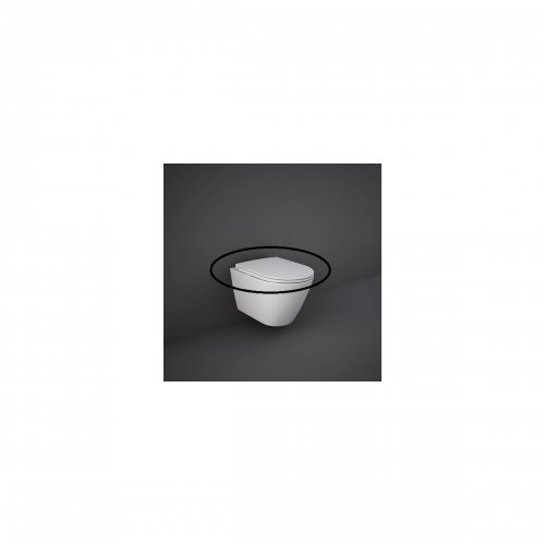 Купить Rak RSTSC3901500 FEELING Крышка для унитаза Duroplast SLIM Soft Close белый матовый в Киеве vannaja.kiev.ua