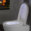 Купить Крышка для унитаза Villeroy&Boch ViSeat (8M01A101) в Киеве vannaja.kiev.ua